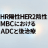 HR陽性HER2陰性MBCにおけるADCと後治療【前編】（原 文堅氏）